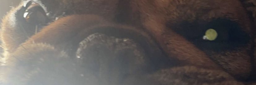 Nick Pieto banner
