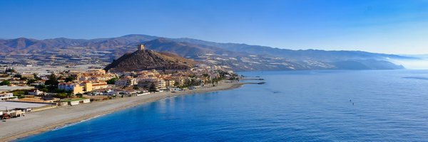 nachetevet Profile Banner