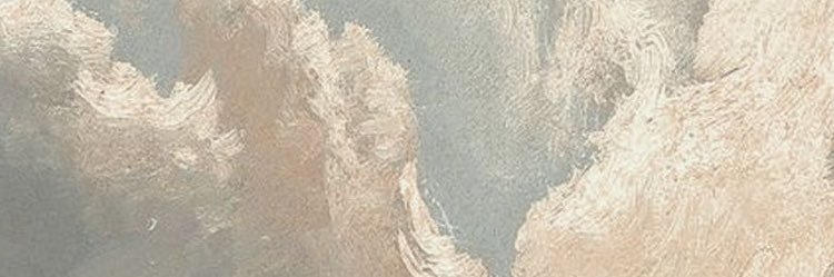 ppo_parrot's profile banner image