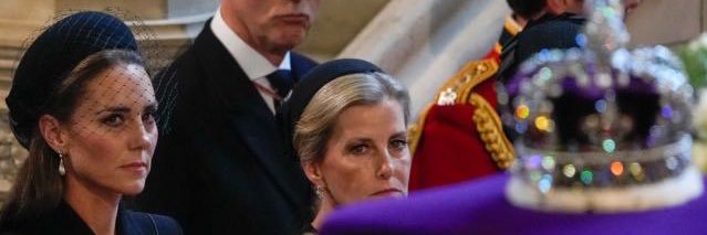 MeghansMole©️'s banner