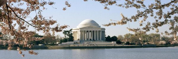 ffitzgerald4 Profile Banner