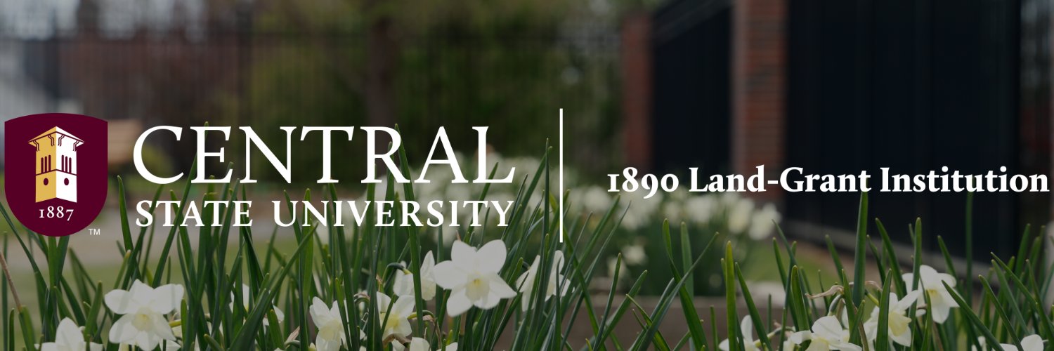 centralstate90's profile banner image