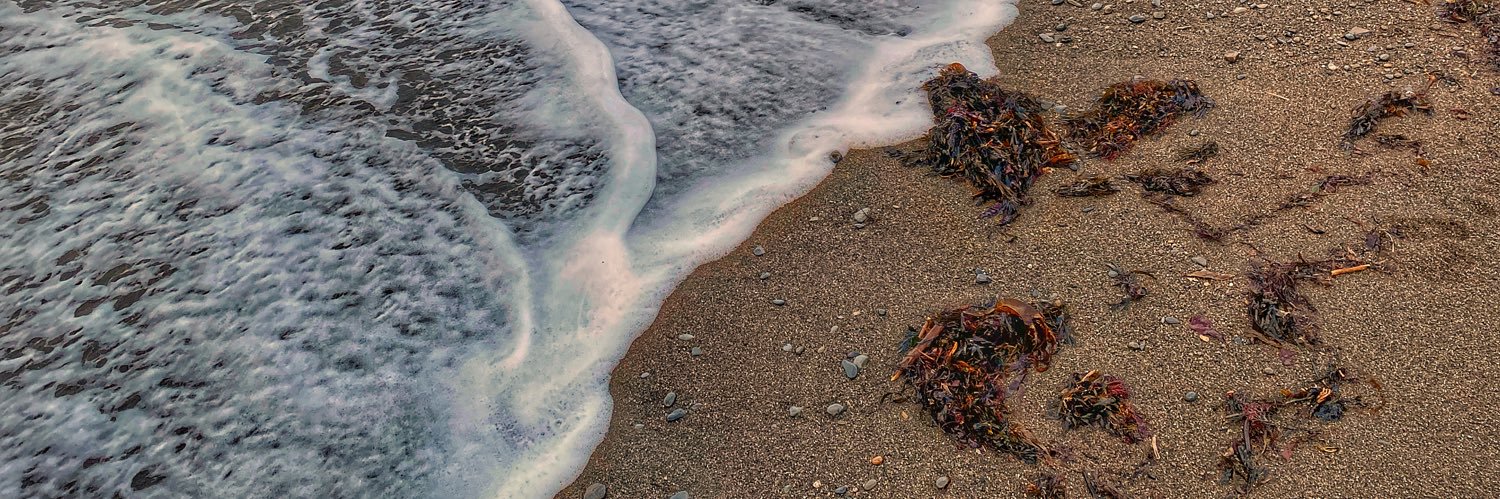 Seafront Press 🏳️‍🌈 SUBS OPEN banner