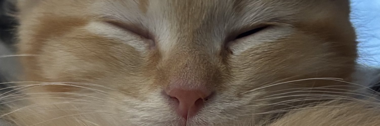 Dinky's banner