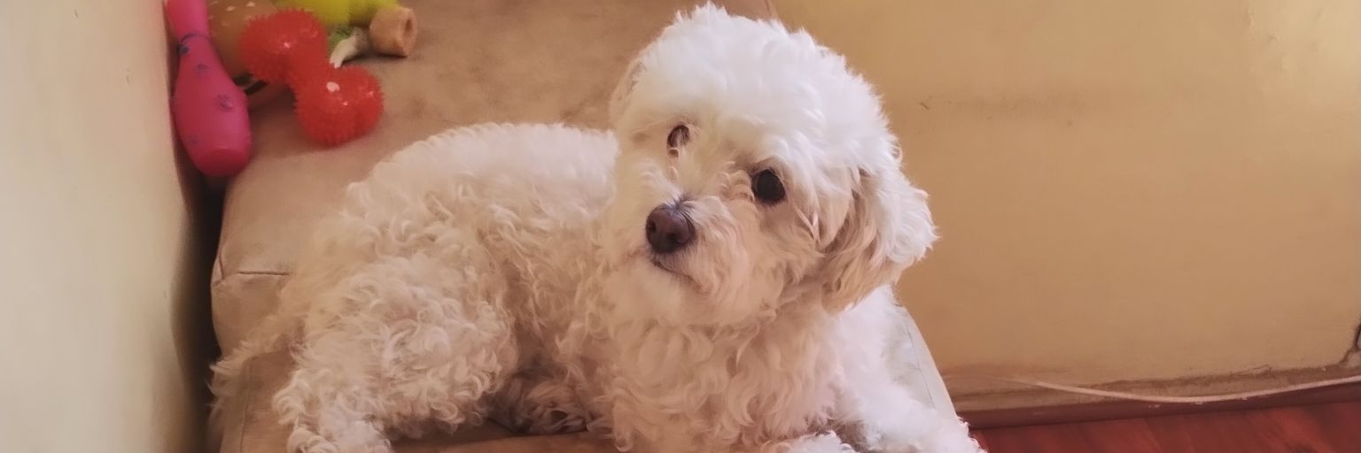 Nicko_30's profile banner image