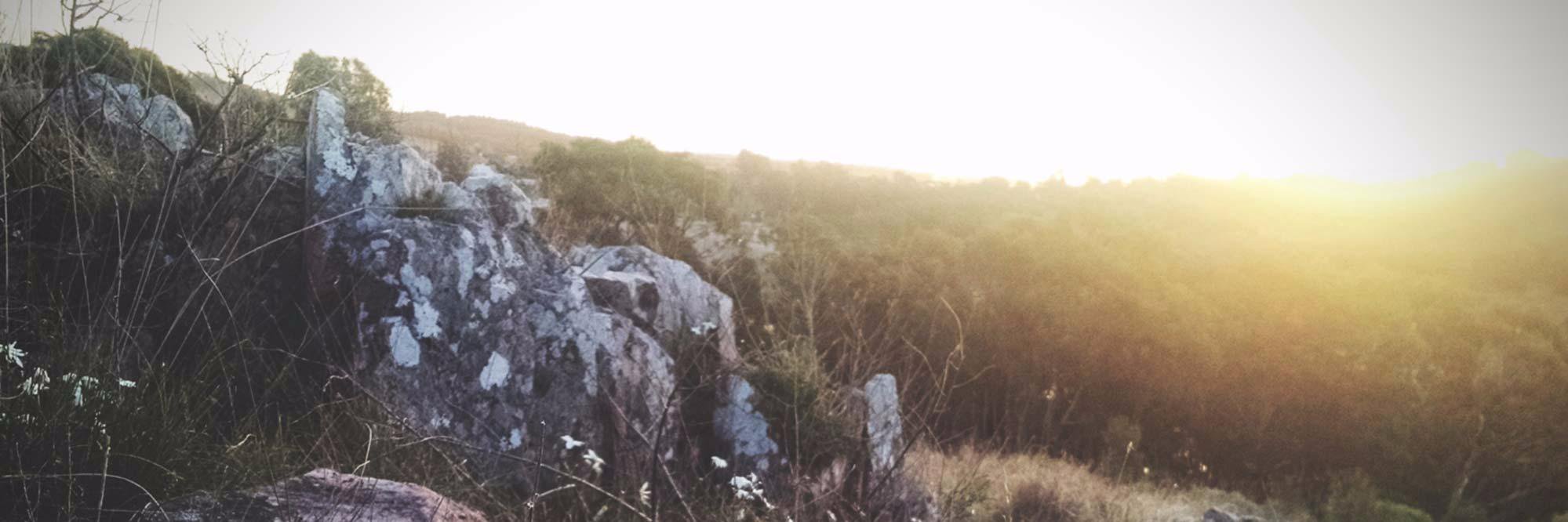 Leandro Cabrera banner