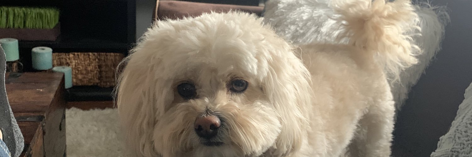 Weegee18 / Weeg.eth banner