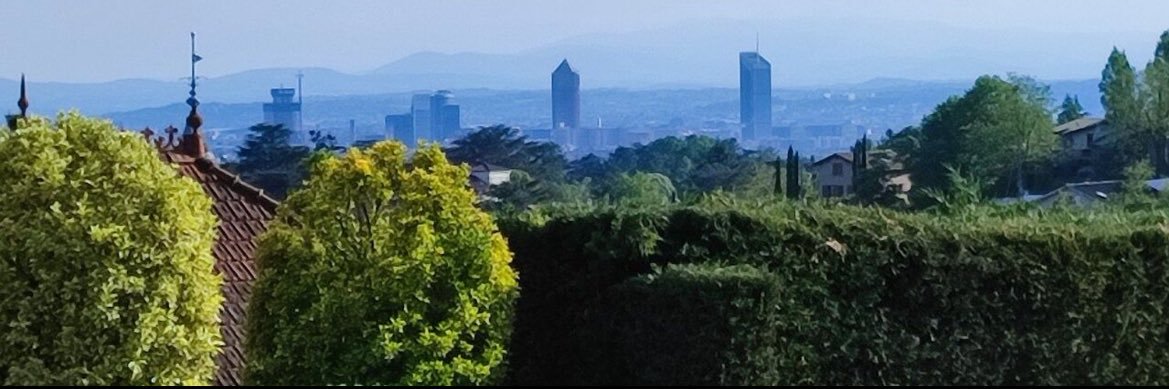 Adrien Di Rollo banner