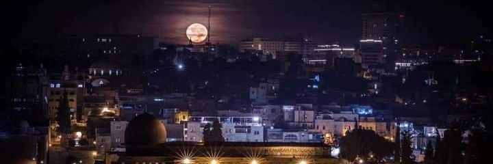HadilGargouri2's profile banner image