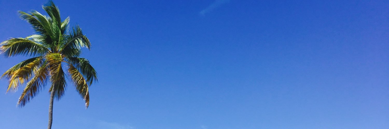 FV banner