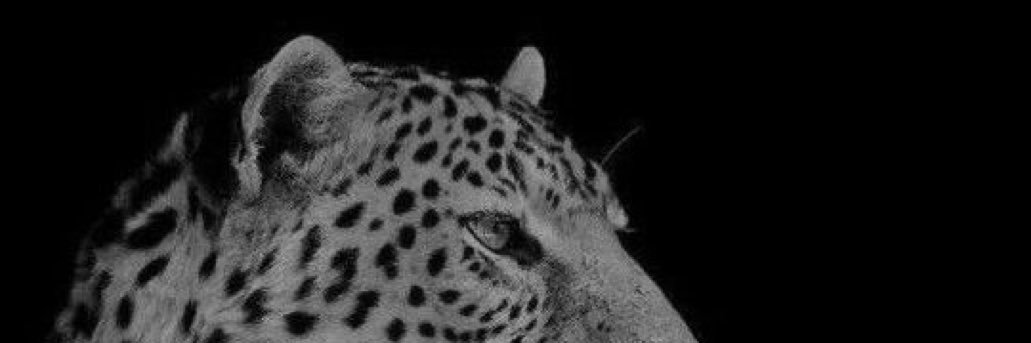 shamslll's profile banner image