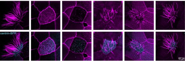 vazquezn14 Profile Banner