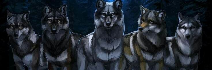 PSGAMER4LYFE's profile banner image