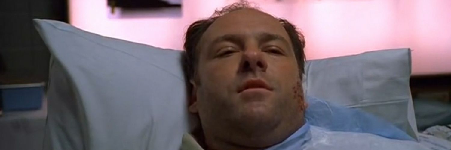 Millennial Sopranos banner