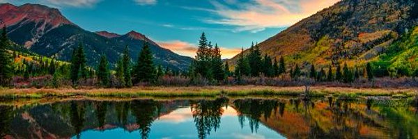 Vet55Old Profile Banner