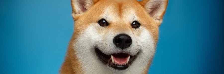 look banner