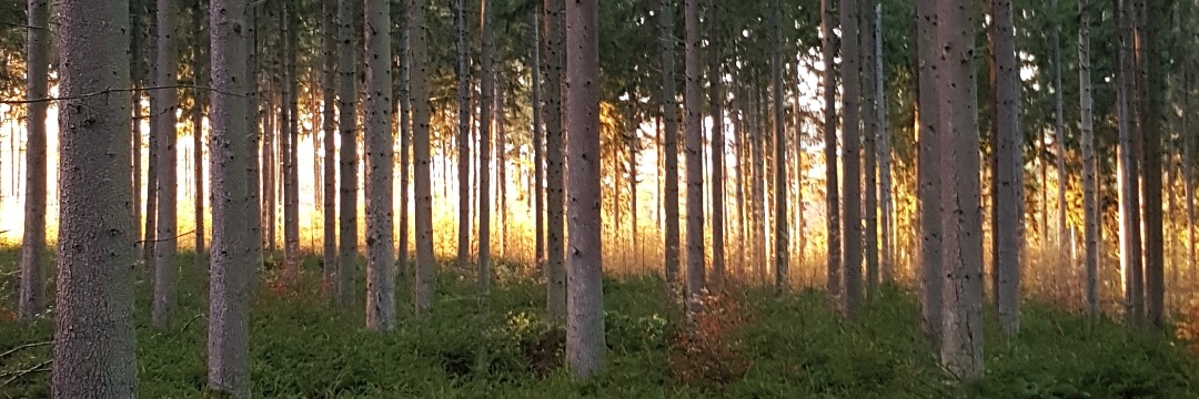NicolasPeeters's profile banner image
