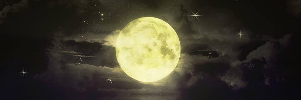 NancyBlue11's profile banner image