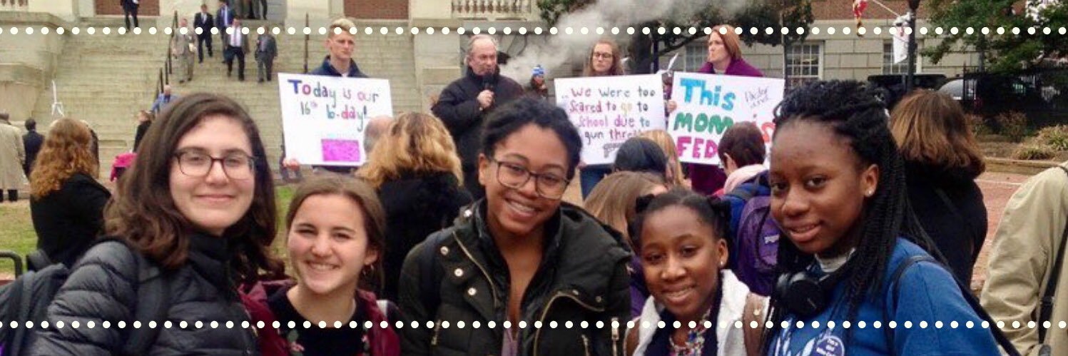 Youth Activism Project banner
