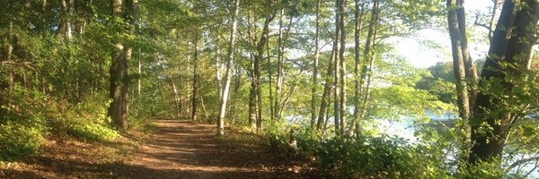 TWallack Profile Banner