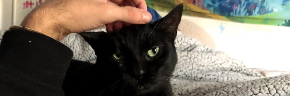 zae :0 ☁️ banner