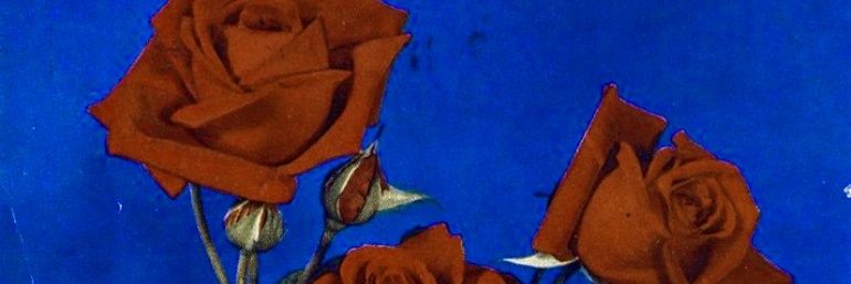feedmepoisonme's profile banner image