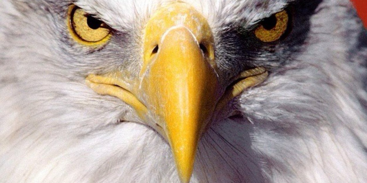 mike_gallo7's profile banner image