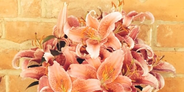 kazadotcom's profile banner image