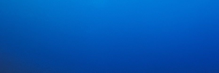 Navial banner