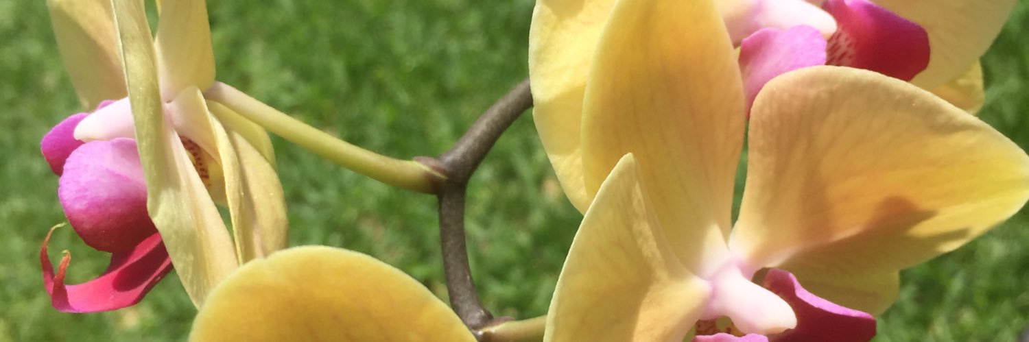 mercedescsam's profile banner image