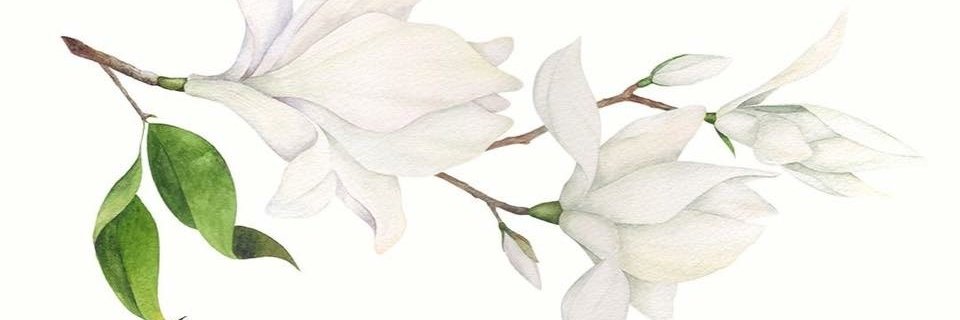 desireschneider's profile banner image