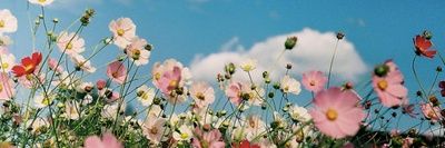 millasusannaa's profile banner image
