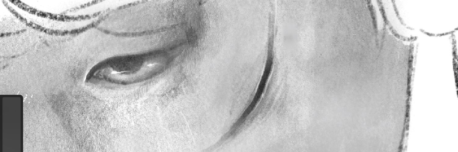 dpraliss's profile banner image