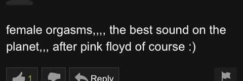 crazy frog lady banner