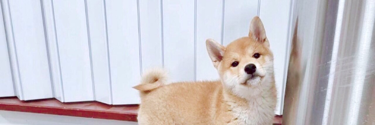 dewarYin ♡ banner