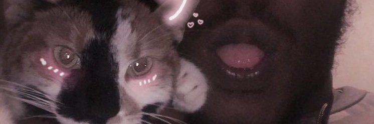 Tripodthomas1's profile banner image