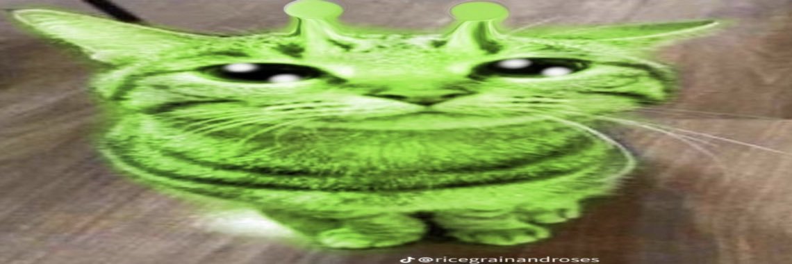 WeirdAlFangurl's profile banner image