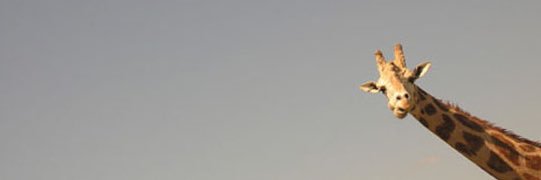DJHoppyD's profile banner image