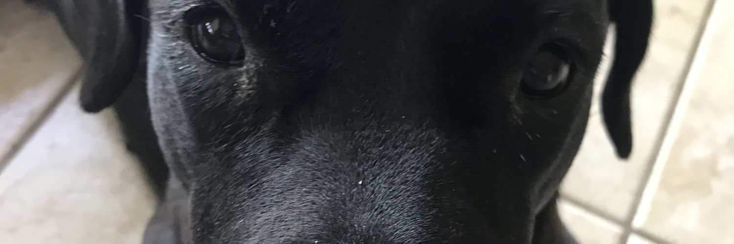 Garrettdetrick's profile banner image