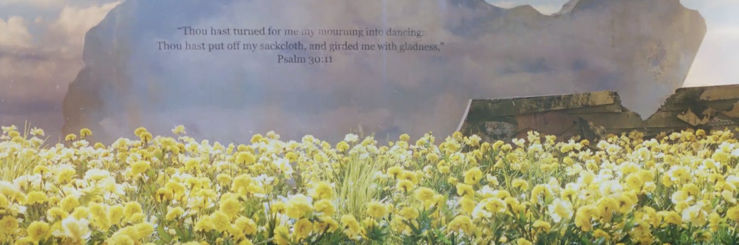 ninakooh's profile banner image