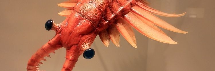 annika banner