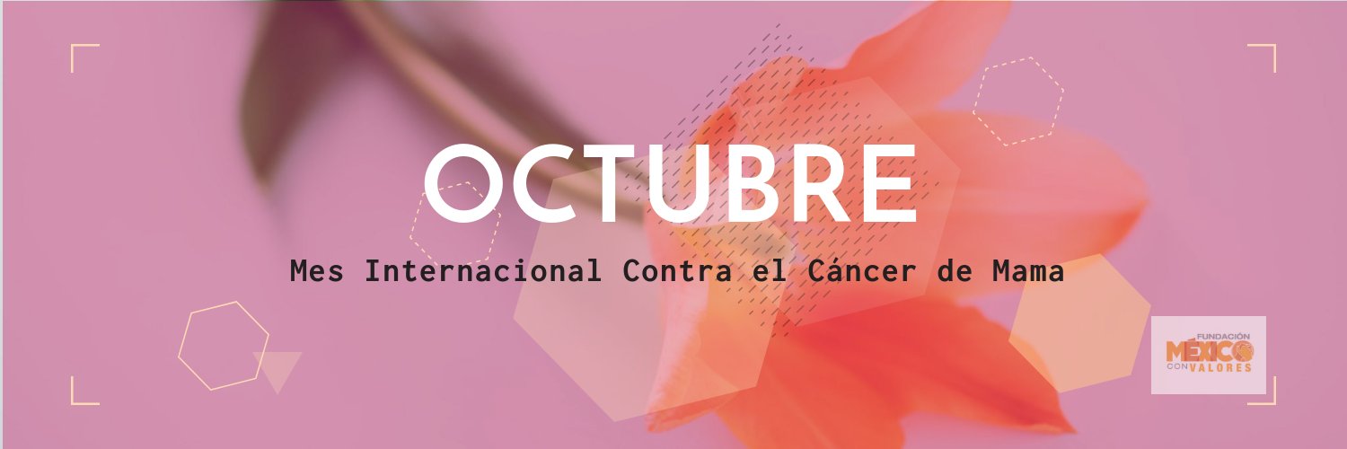 MX_conValores's profile banner image
