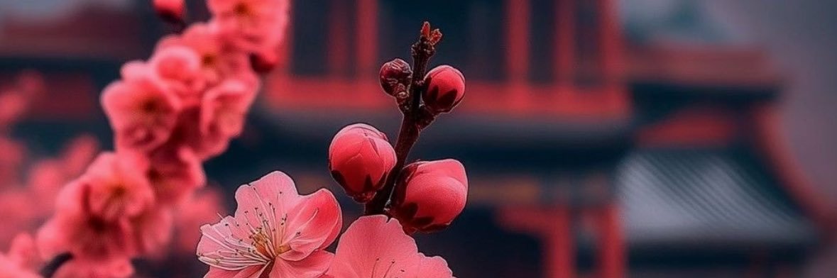 paulineteske's profile banner image