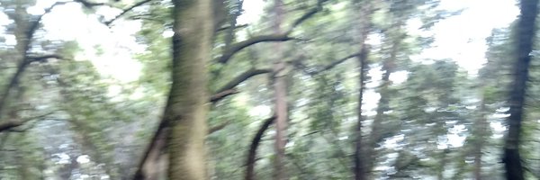 Balin00021039 Profile Banner