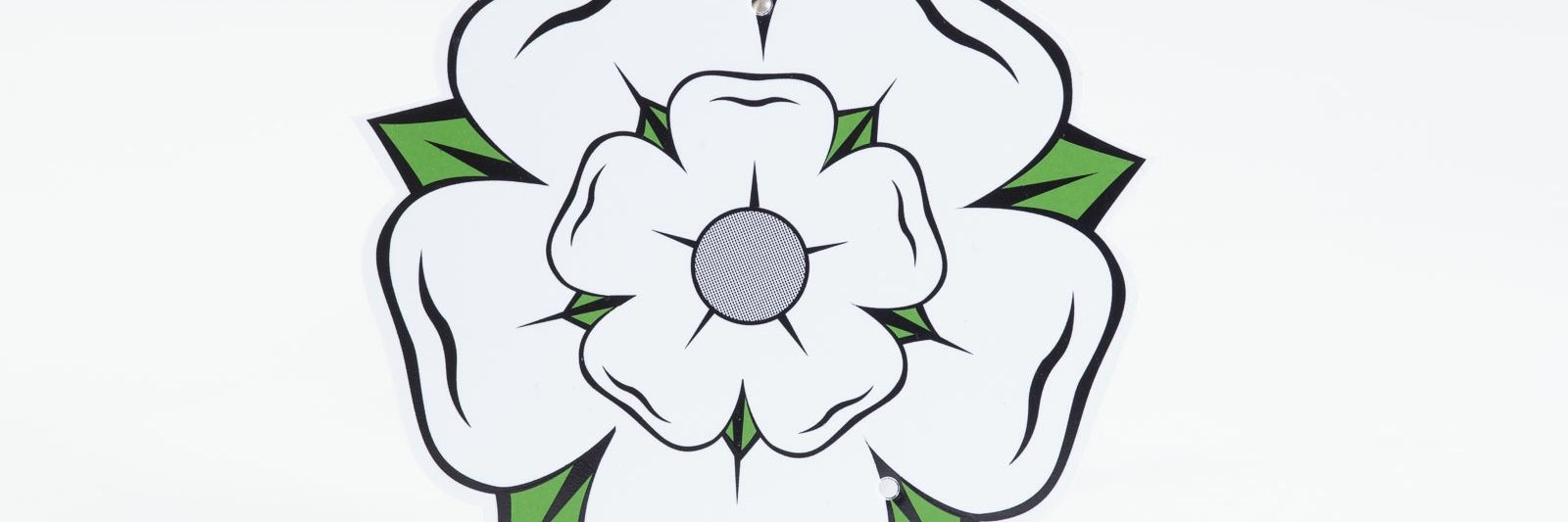 Beth 🏴‍☠️ banner