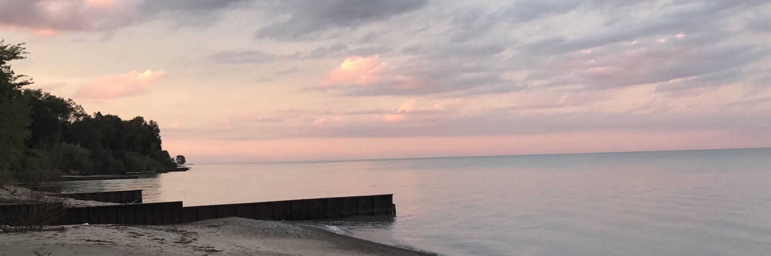 SydneyBorgiel's profile banner image