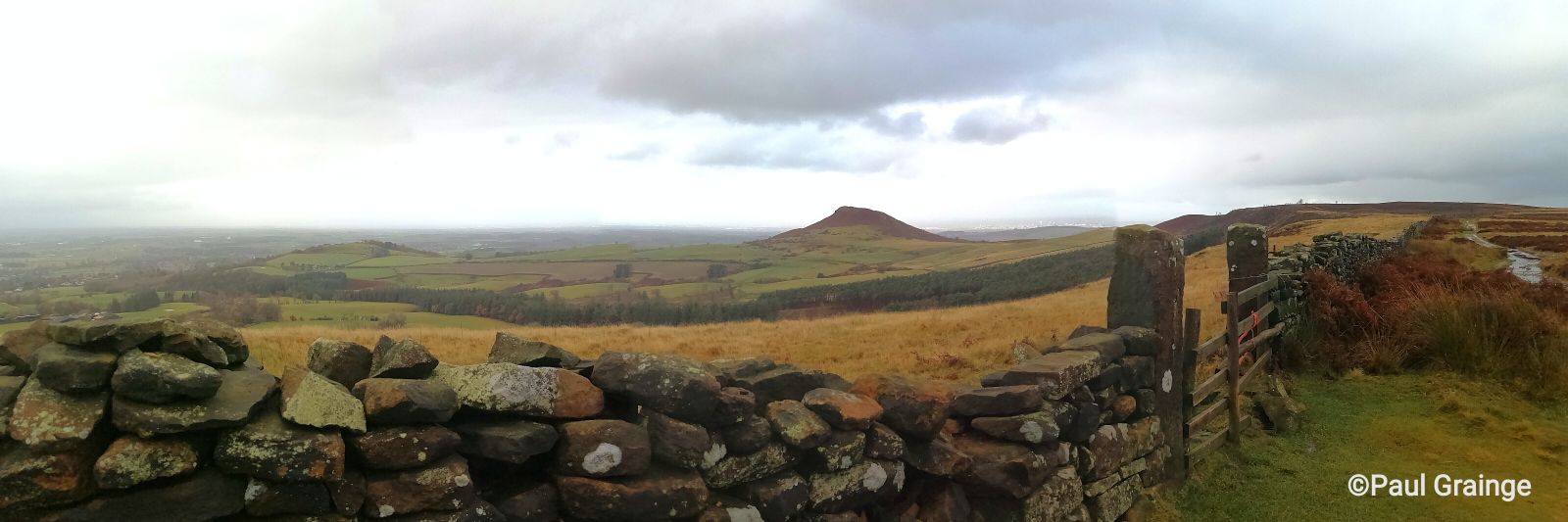 Paul Grainge FSyI banner