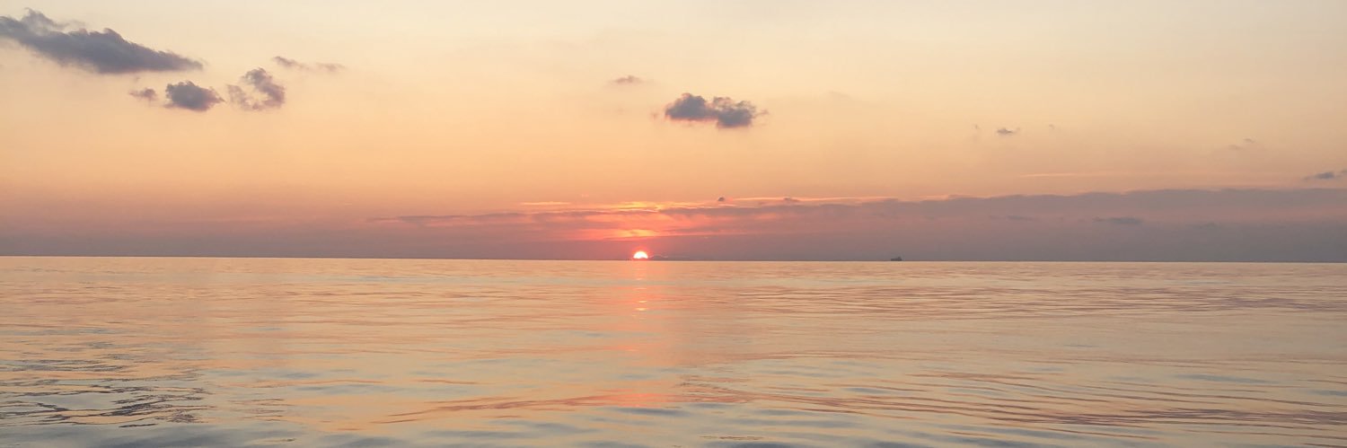cecitot's profile banner image