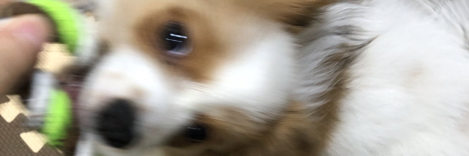 charles_1204's profile banner image
