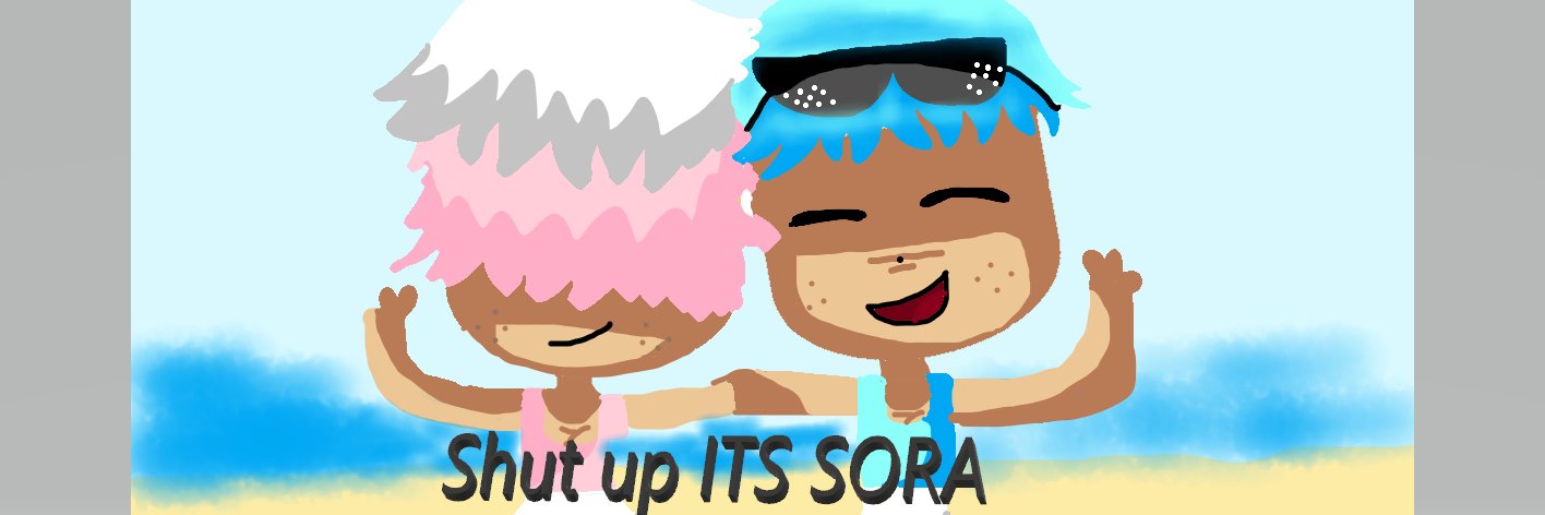 BloxyElla's profile banner image